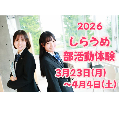 春のしらうめ部活動体験