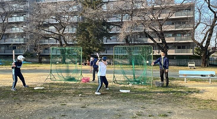 softball02.png